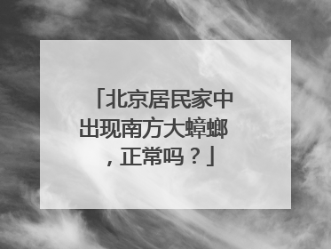 北京居民家中出现南方大蟑螂，正常吗？