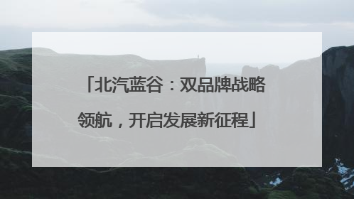 北汽蓝谷：双品牌战略领航，开启发展新征程