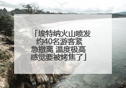埃特纳火山喷发 约40名游客紧急撤离 温度极高感觉要被烤焦了