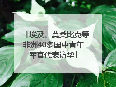 埃及、莫桑比克等非洲40多国中青年军官代表访华