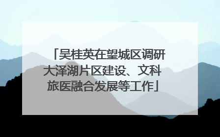 吴桂英在望城区调研大泽湖片区建设、文科旅医融合发展等工作