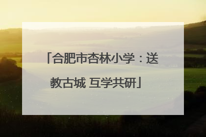 合肥市杏林小学：送教古城 互学共研