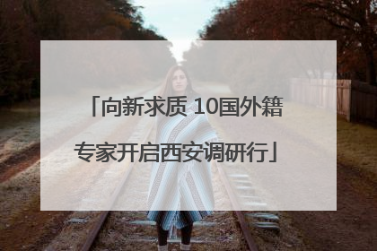 向新求质 10国外籍专家开启西安调研行