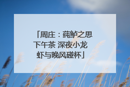 周庄：莼鲈之思下午茶 深夜小龙虾与晚风碰杯