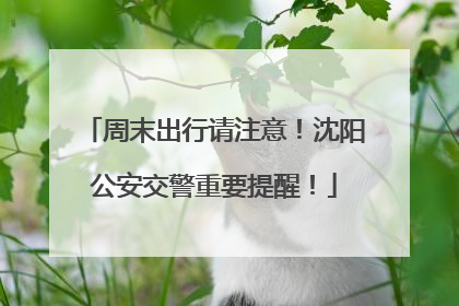 周末出行请注意！沈阳公安交警重要提醒！