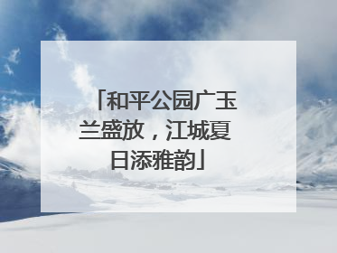 和平公园广玉兰盛放，江城夏日添雅韵