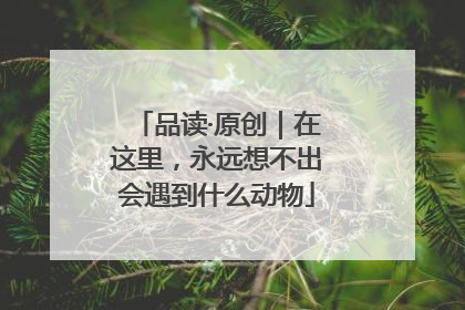 品读·原创｜在这里，永远想不出会遇到什么动物