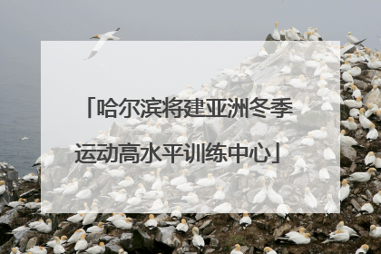 哈尔滨将建亚洲冬季运动高水平训练中心