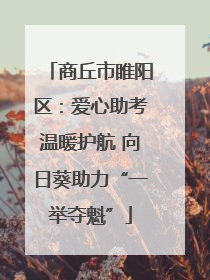商丘市睢阳区：爱心助考温暖护航 向日葵助力“一举夺魁”