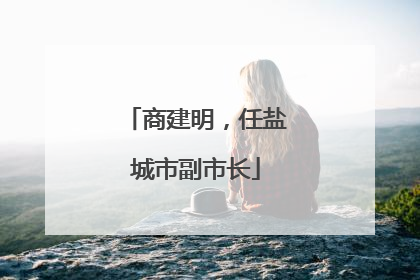 商建明，任盐城市副市长