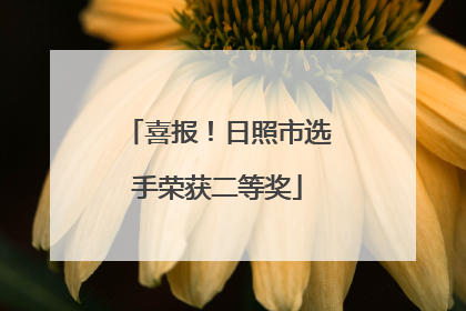 喜报！日照市选手荣获二等奖