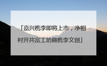 嘉兴槜李即将上市，净相村开共富工坊做槜李文创