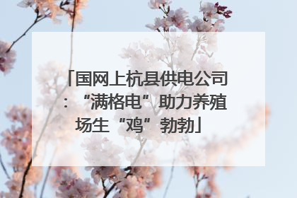 国网上杭县供电公司：“满格电”助力养殖场生“鸡”勃勃