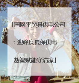 国网平舆县供电公司：迎峰度夏保供电  数智赋能守清凉