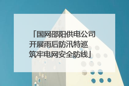 国网邵阳供电公司开展雨后防汛特巡 筑牢电网安全防线