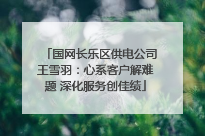 国网长乐区供电公司王雪羽：心系客户解难题 深化服务创佳绩
