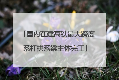 国内在建高铁最大跨度系杆拱系梁主体完工