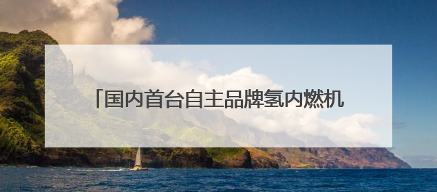 国内首台自主品牌氢内燃机发电机组在湖北投入运营