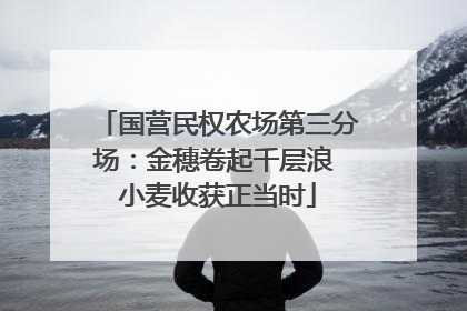 国营民权农场第三分场：金穗卷起千层浪 小麦收获正当时