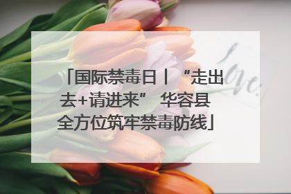 国际禁毒日丨“走出去+请进来” 华容县全方位筑牢禁毒防线