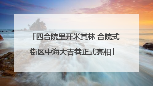 四合院里开米其林 合院式街区中海大吉巷正式亮相