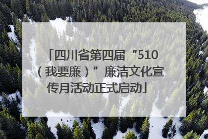 四川省第四届“510（我要廉）”廉洁文化宣传月活动正式启动