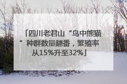 四川老君山“鸟中熊猫”种群数量翻番，繁殖率从15%升至32%