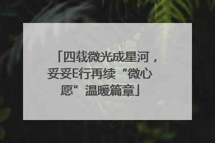 四载微光成星河，妥妥E行再续“微心愿”温暖篇章