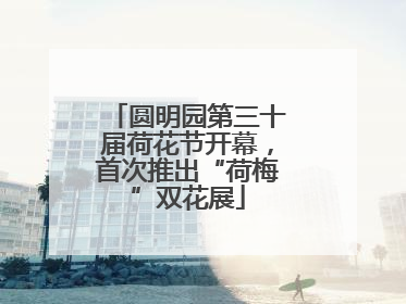 圆明园第三十届荷花节开幕，首次推出“荷梅”双花展