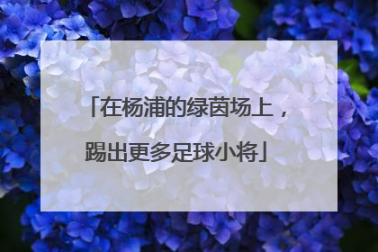 在杨浦的绿茵场上，踢出更多足球小将