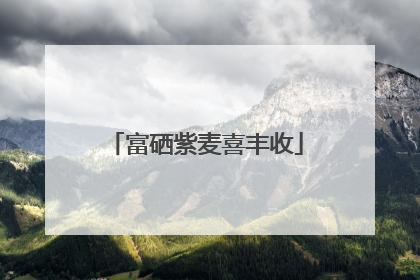 富硒紫麦喜丰收