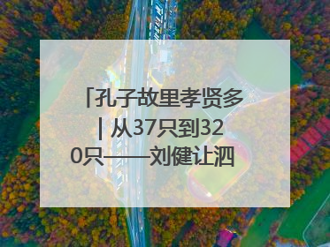孔子故里孝贤多｜从37只到320只——刘健让泗水裘皮羊重生