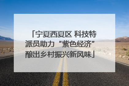 宁夏西夏区 科技特派员助力“紫色经济”酿出乡村振兴新风味