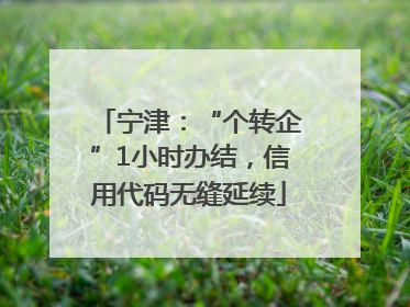 宁津：“个转企”1小时办结，信用代码无缝延续
