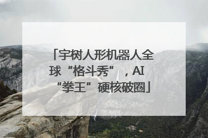宇树人形机器人全球“格斗秀”，AI“拳王”硬核破圈