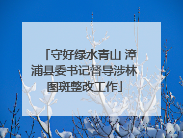 守好绿水青山 漳浦县委书记督导涉林图斑整改工作