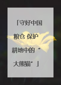 守好中国粮仓 保护耕地中的“大熊猫”
