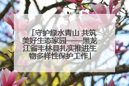 守护绿水青山 共筑美好生态家园——黑龙江省丰林县扎实推进生物多样性保护工作