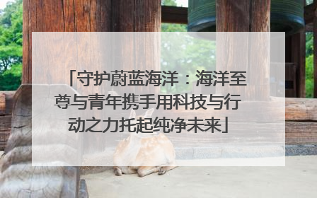 守护蔚蓝海洋：海洋至尊与青年携手用科技与行动之力托起纯净未来