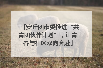 安丘团市委推进“共青团伙伴计划”，让青春与社区双向奔赴