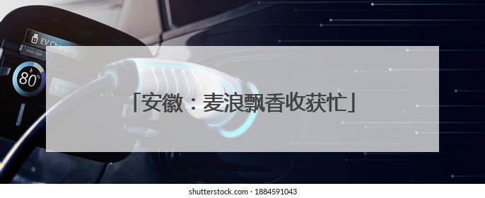 安徽：麦浪飘香收获忙