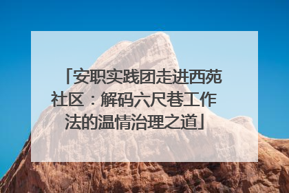 安职实践团走进西苑社区：解码六尺巷工作法的温情治理之道
