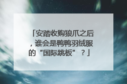 安踏收购狼爪之后，谁会是鸭鸭羽绒服的“国际跳板”？