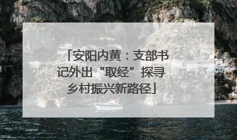 安阳内黄：支部书记外出“取经”探寻乡村振兴新路径