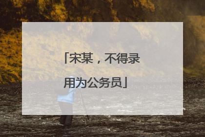 宋某，不得录用为公务员