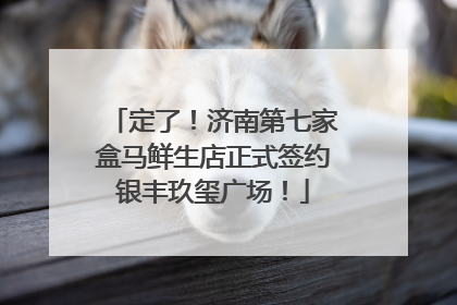定了！济南第七家盒马鲜生店正式签约银丰玖玺广场！