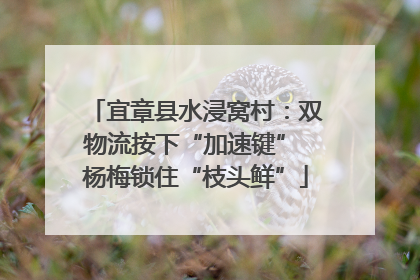 宜章县水浸窝村：双物流按下“加速键” 杨梅锁住“枝头鲜”