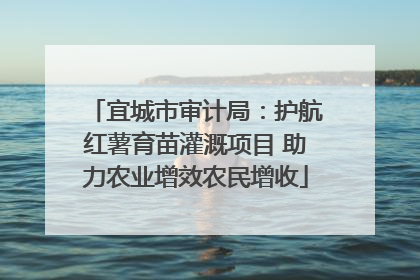 宜城市审计局：护航红薯育苗灌溉项目 助力农业增效农民增收