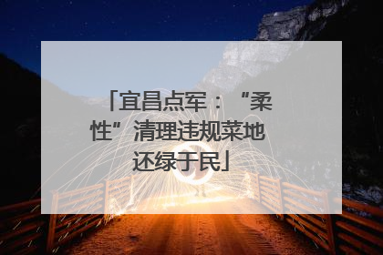 宜昌点军：“柔性”清理违规菜地 还绿于民