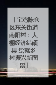 宝鸡陈仓区东关街道南阳村：大棚经济结硕果 绘就乡村振兴新图景